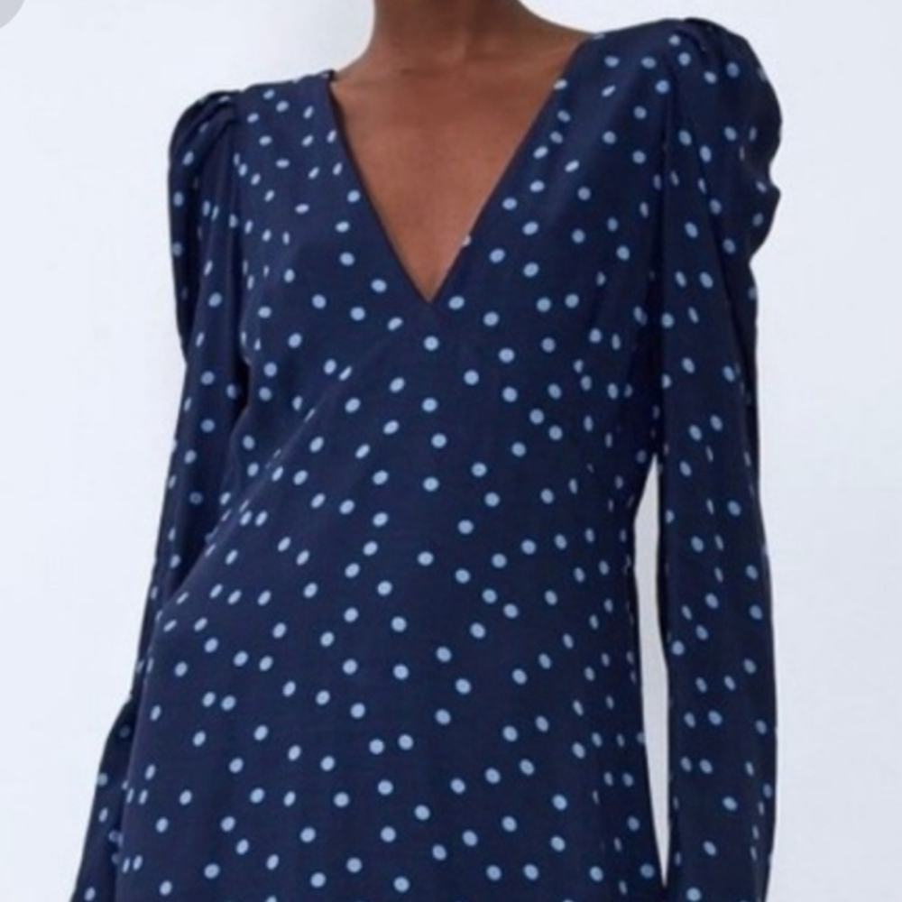 Zara Blue Polka Dot Dress